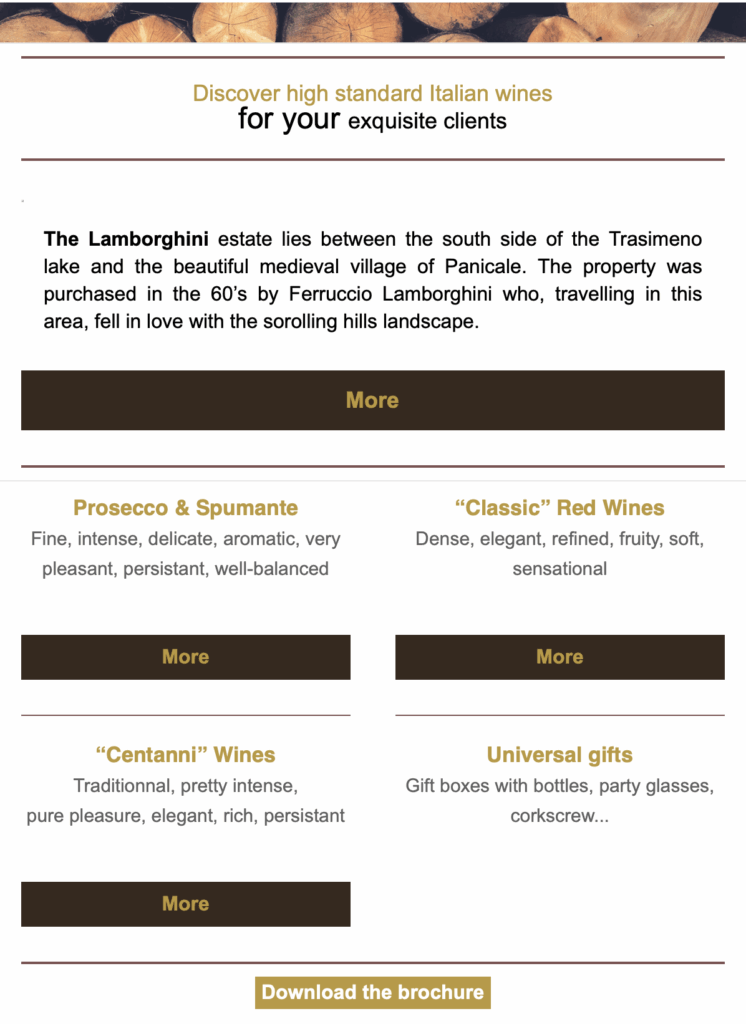 Emailing - Lamborghini - pour les restaurants "Get an other star with Lamborghini's wines"