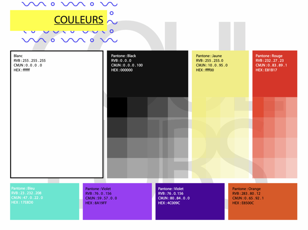 Charte graphique p6 - Rythmik Academy - MPJB Consulting